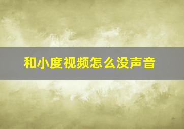 和小度视频怎么没声音