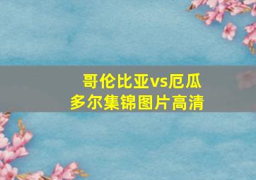 哥伦比亚vs厄瓜多尔集锦图片高清