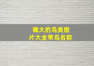 嘴大的鸟类图片大全带鸟名称