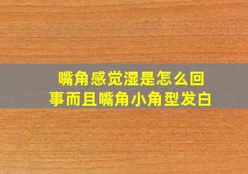 嘴角感觉湿是怎么回事而且嘴角小角型发白