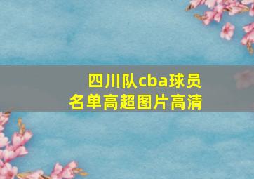 四川队cba球员名单高超图片高清