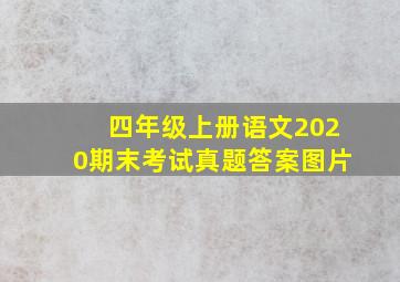 四年级上册语文2020期末考试真题答案图片