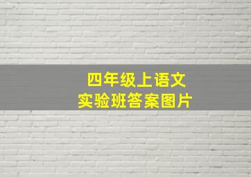 四年级上语文实验班答案图片