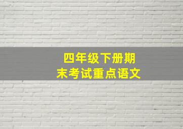 四年级下册期末考试重点语文