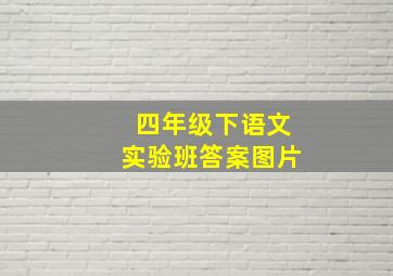 四年级下语文实验班答案图片