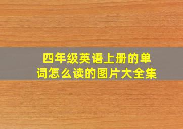 四年级英语上册的单词怎么读的图片大全集