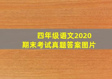 四年级语文2020期末考试真题答案图片