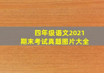 四年级语文2021期末考试真题图片大全