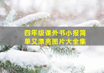 四年级课外书小报简单又漂亮图片大全集