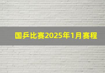 国乒比赛2025年1月赛程