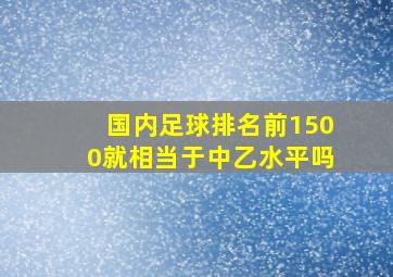 国内足球排名前1500就相当于中乙水平吗