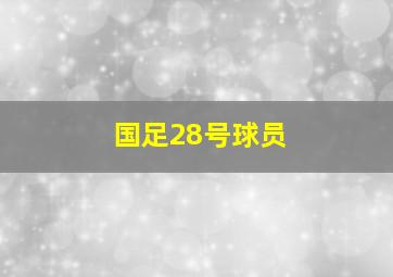 国足28号球员