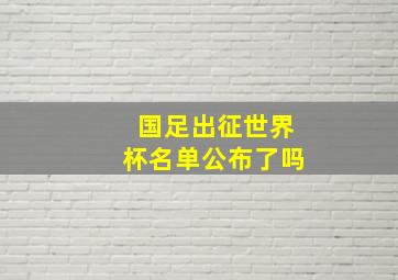 国足出征世界杯名单公布了吗