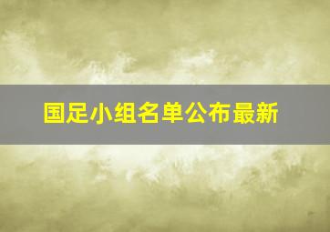 国足小组名单公布最新