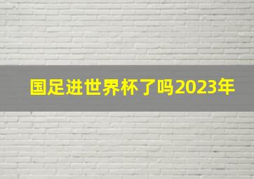 国足进世界杯了吗2023年