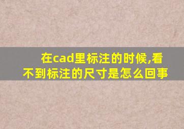 在cad里标注的时候,看不到标注的尺寸是怎么回事