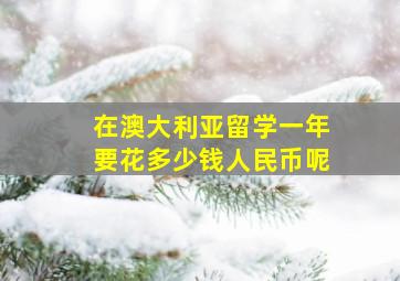 在澳大利亚留学一年要花多少钱人民币呢