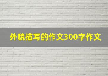 外貌描写的作文300字作文