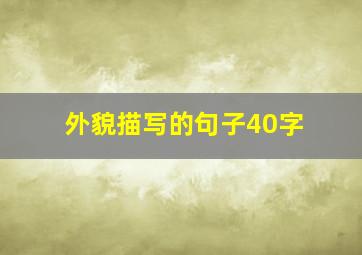 外貌描写的句子40字