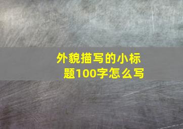 外貌描写的小标题100字怎么写