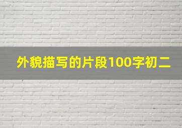 外貌描写的片段100字初二