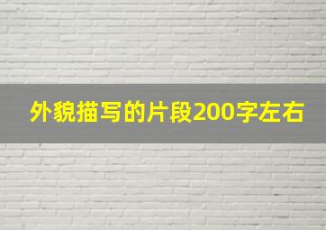 外貌描写的片段200字左右