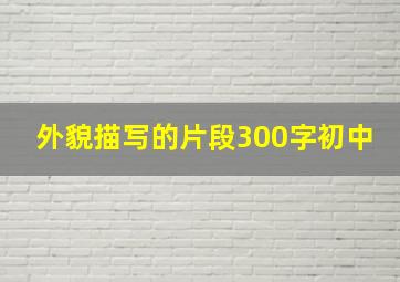 外貌描写的片段300字初中