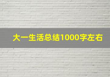 大一生活总结1000字左右