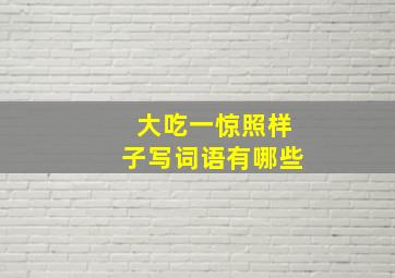 大吃一惊照样子写词语有哪些