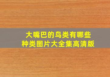 大嘴巴的鸟类有哪些种类图片大全集高清版