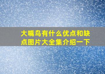 大嘴鸟有什么优点和缺点图片大全集介绍一下