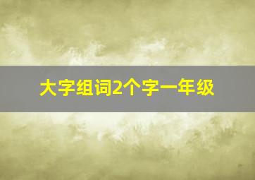 大字组词2个字一年级