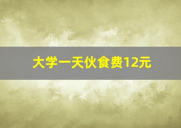 大学一天伙食费12元