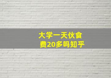 大学一天伙食费20多吗知乎