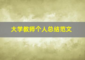 大学教师个人总结范文