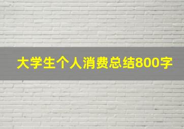 大学生个人消费总结800字