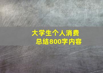 大学生个人消费总结800字内容