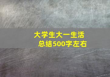 大学生大一生活总结500字左右