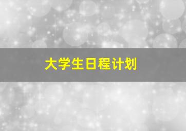 大学生日程计划