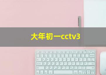 大年初一cctv3