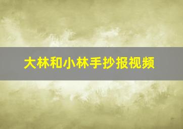 大林和小林手抄报视频