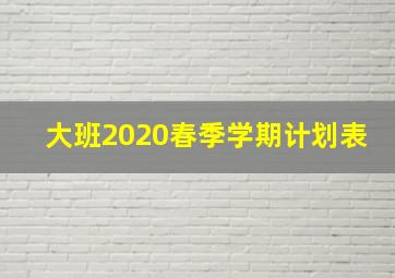 大班2020春季学期计划表