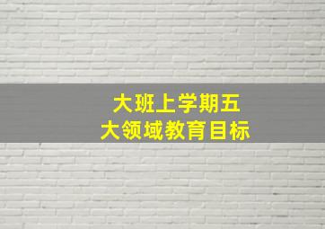 大班上学期五大领域教育目标