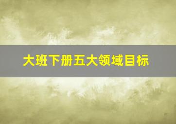 大班下册五大领域目标