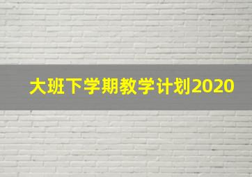 大班下学期教学计划2020