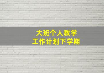 大班个人教学工作计划下学期