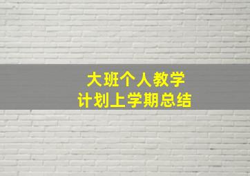 大班个人教学计划上学期总结