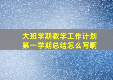 大班学期教学工作计划第一学期总结怎么写啊