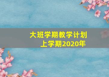 大班学期教学计划上学期2020年