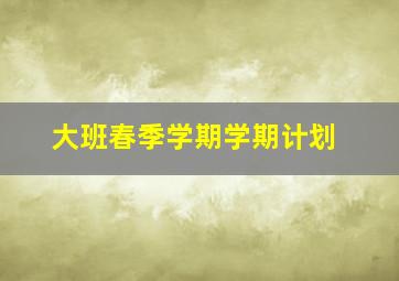 大班春季学期学期计划